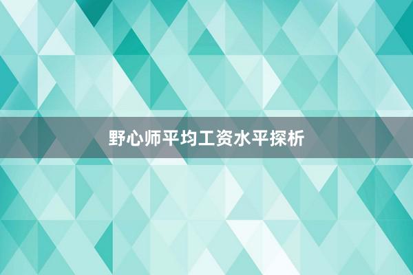 野心师平均工资水平探析